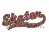 Iron on Sparkly Pink Sequins Embroidered Patch  word Skater  